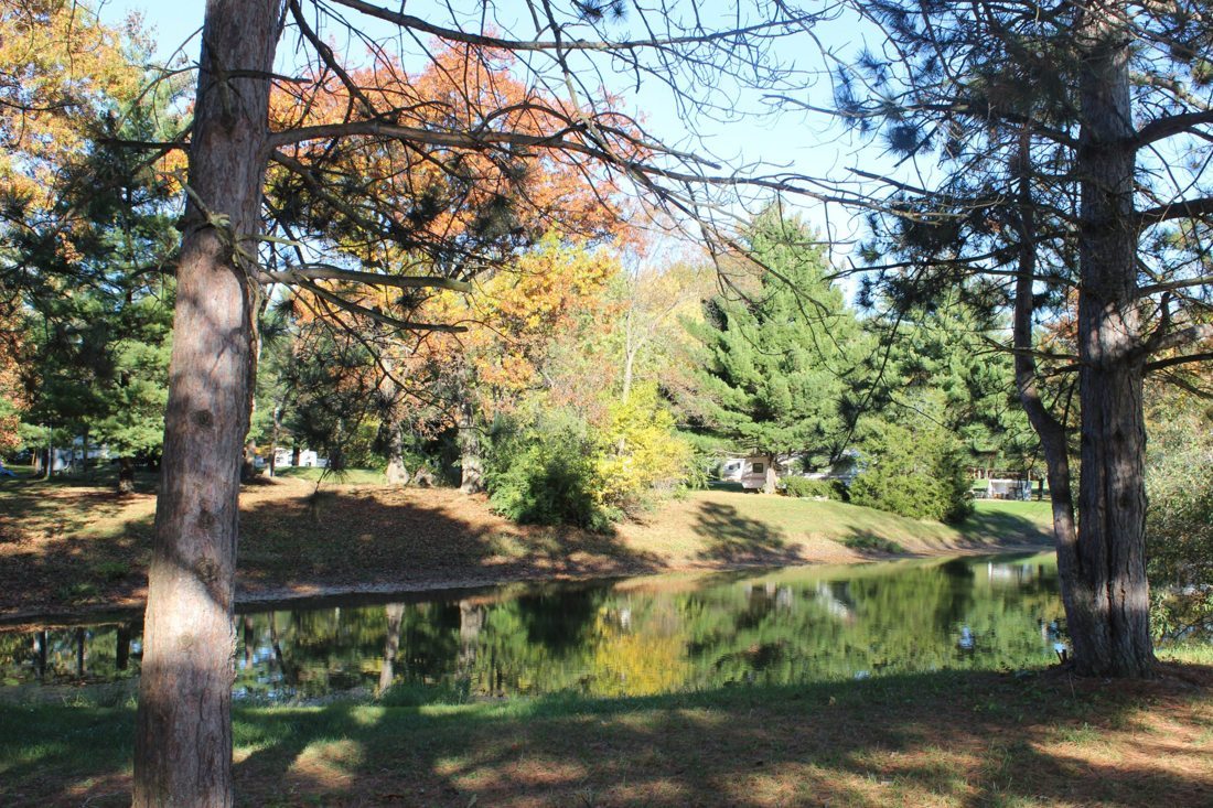 A tree-lined lake at Condit’s Ranch.