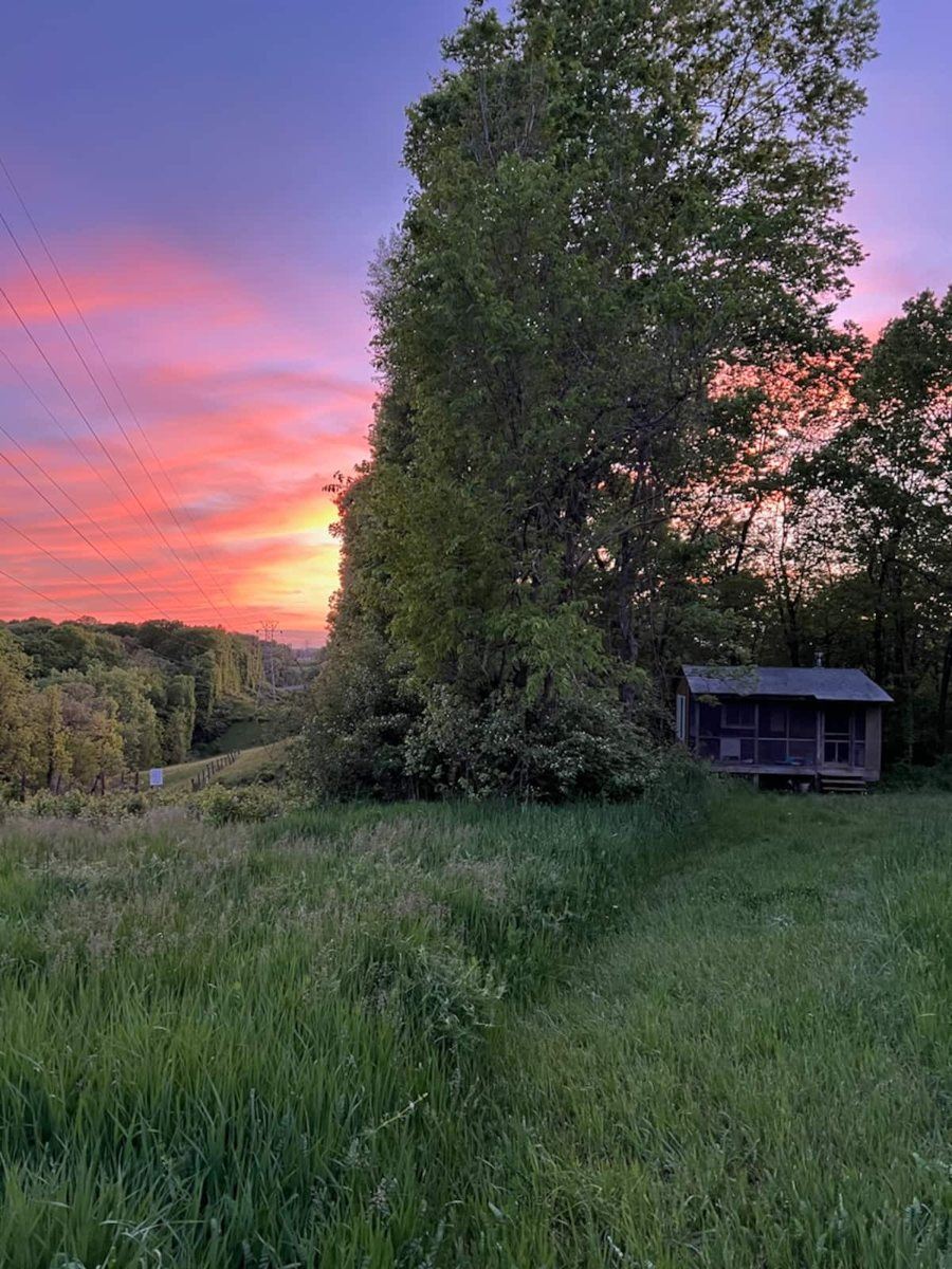 Small cabin at sunset at Hungry World Farm